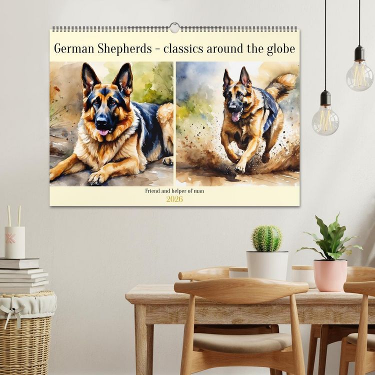 Produktbild: German Shepherds - classics around the globe (Wall Calendar 2026 DIN A2 landscape), CALVENDO 12 Month Wall Calendar