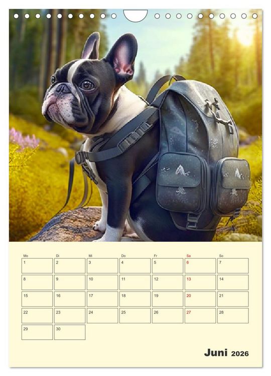 Produktbild: Lustige Flederm&auml;use. Franz&ouml;sische Bulldoggen bei der Freizeitgestaltung (Wandkalender 2026 DIN A4 hoch), CALVENDO Monatskalender