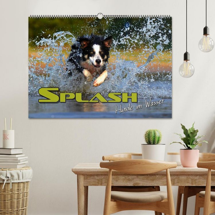 Produktbild: SPLASH - Hunde im Wasser (Wandkalender 2026 DIN A2 quer), CALVENDO Monatskalender
