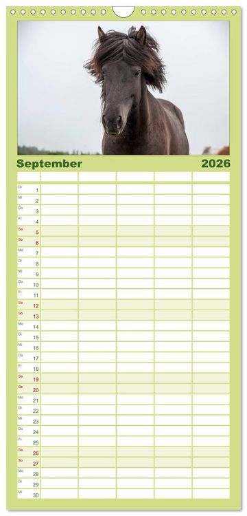 Produktbild: Familienplaner 2026 - Charakterk&ouml;pfe Islandpferde mit 5 Spalten (Wandkalender, 21 x 45 cm) CALVENDO