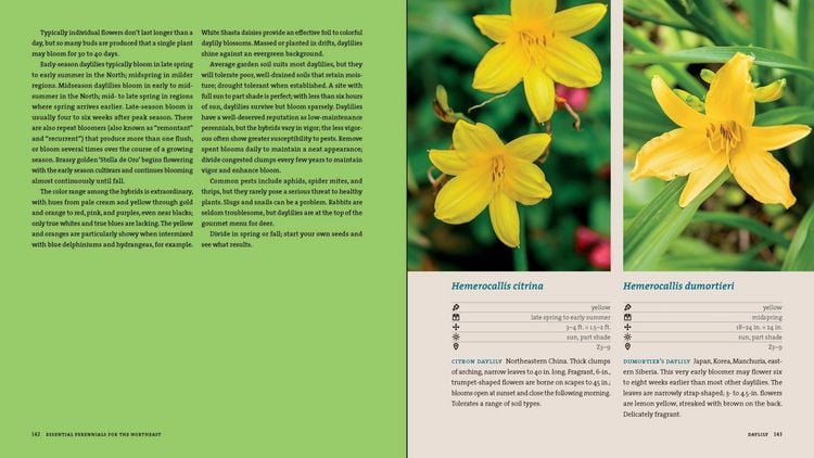 Produktbild: Perennials for the Pacific Northwest