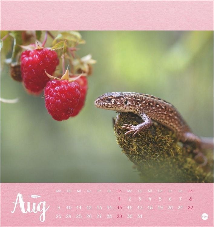 Produktbild: Vadim Trunov: M&auml;rchenhaftes Waldleben Postkartenkalender 2027