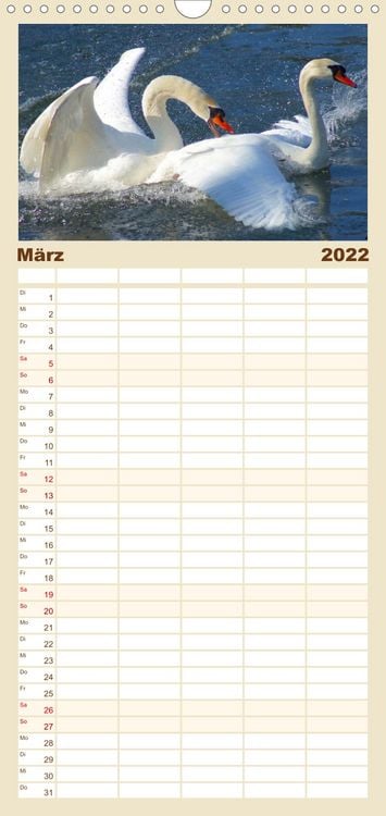 Produktbild: Das faszinierende Leben der Schw&auml;ne - Familienplaner hoch (Wandkalender 2022 , 21 cm x 45 cm, hoch)