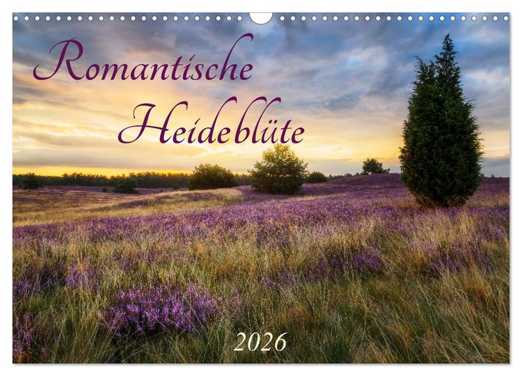 Produktbild: Romantische Heidebl&uuml;te (Wandkalender 2026 DIN A3 quer), CALVENDO Monatskalender