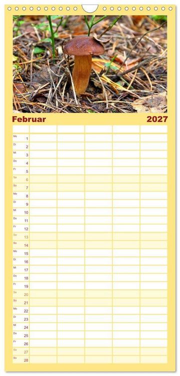 Produktbild: Familienplaner 2027 - Heimische Pilze mit 5 Spalten (Wandkalender, 21 x 45 cm) CALVENDO