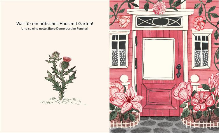 Produktbild: Schau durchs Fenster!