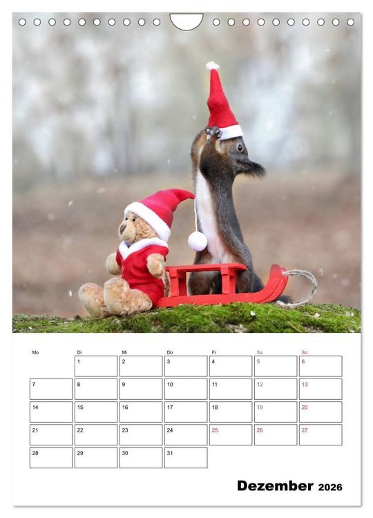 Produktbild: Die kleine Welt der Eichh&ouml;rnchen in Regensburg (Wandkalender 2026 DIN A4 hoch), CALVENDO Monatskalender