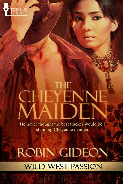Produktbild: The Cheyenne Maiden