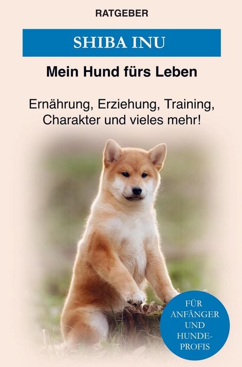 Produktbild: Shiba Inu
