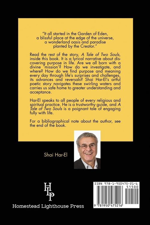 Produktbild: A Tale of Two Souls