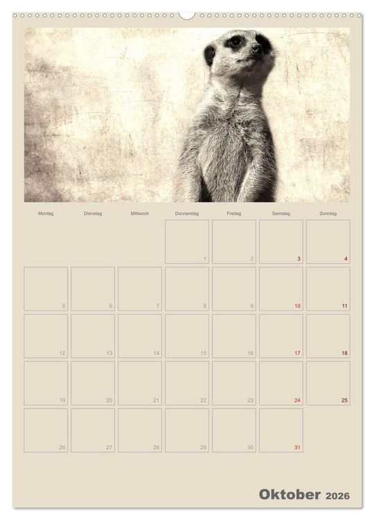 Produktbild: Lustige Erdm&auml;nnchen (Wandkalender 2026 DIN A2 hoch), CALVENDO Monatskalender