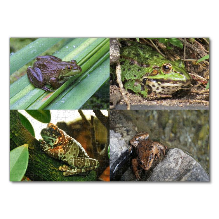Produktbild: Lais Puzzle Collage Frosch 500 Teile