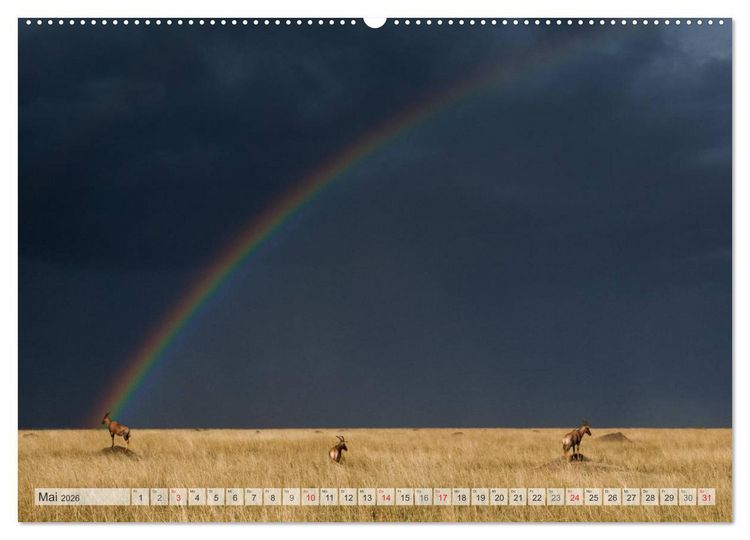 Produktbild: Emotionale Momente: Afrika Wildlife Part 2 / CH-Version (Wandkalender 2026 DIN A2 quer), CALVENDO Monatskalender