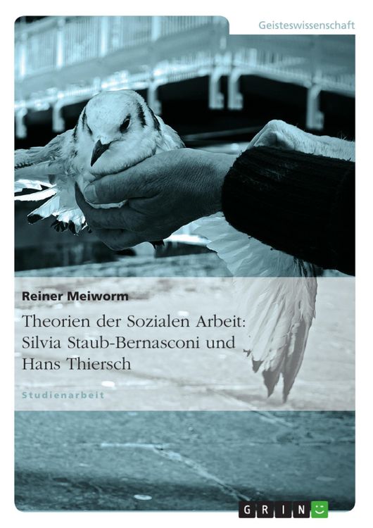 Produktbild: Theorien der Sozialen Arbeit: Silvia Staub-Bernasconi und Hans Thiersch
