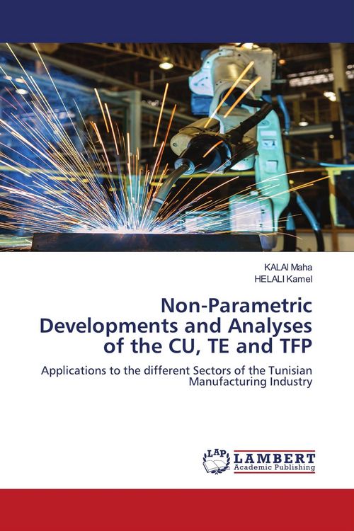 Produktbild: Non-Parametric Developments and Analyses of the CU, TE and TFP
