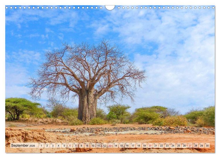 Produktbild: Tansania. Impressionen aus Ostafrika (Wandkalender 2026 DIN A3 quer), CALVENDO Monatskalender