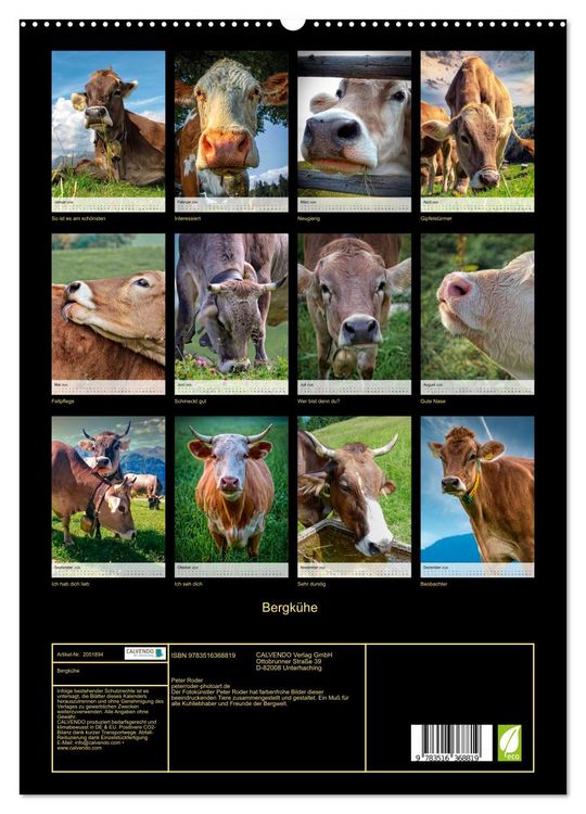 Produktbild: Bergk&uuml;he (Wandkalender 2026 DIN A2 hoch), CALVENDO Monatskalender