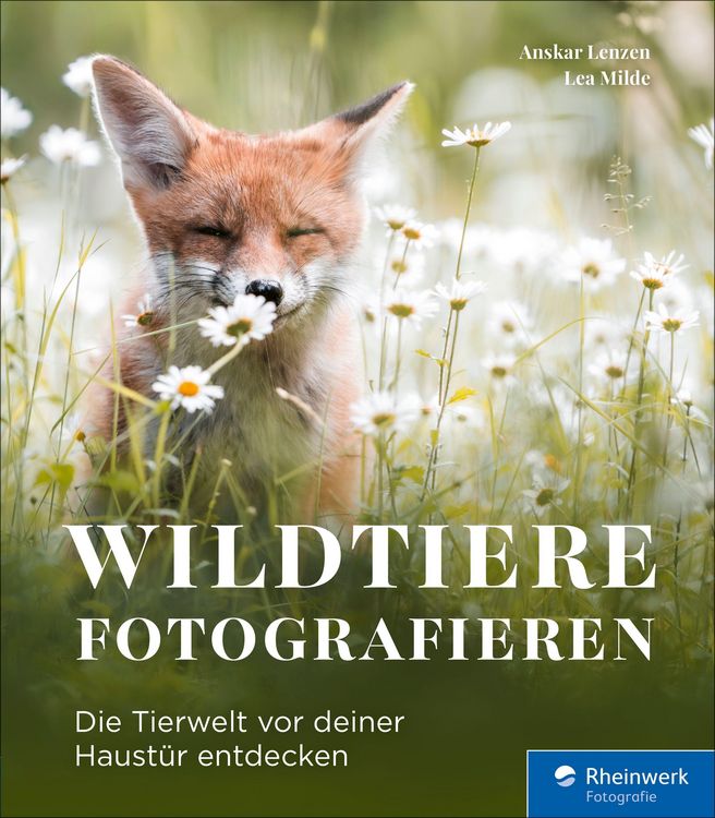 Produktbild: Wildtiere fotografieren