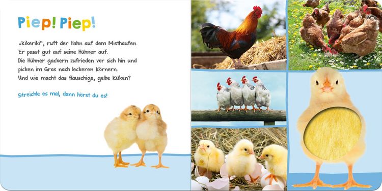 Produktbild: H&ouml;r mal rein, wer kann das sein? &ndash; Bauernhoftiere
