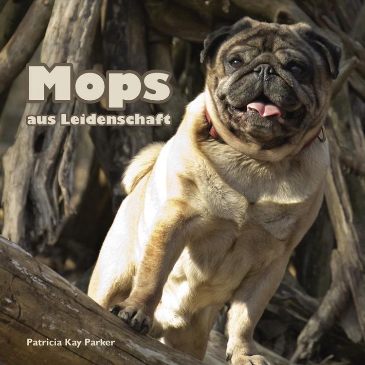 Produktbild: Mops aus Leidenschaft
