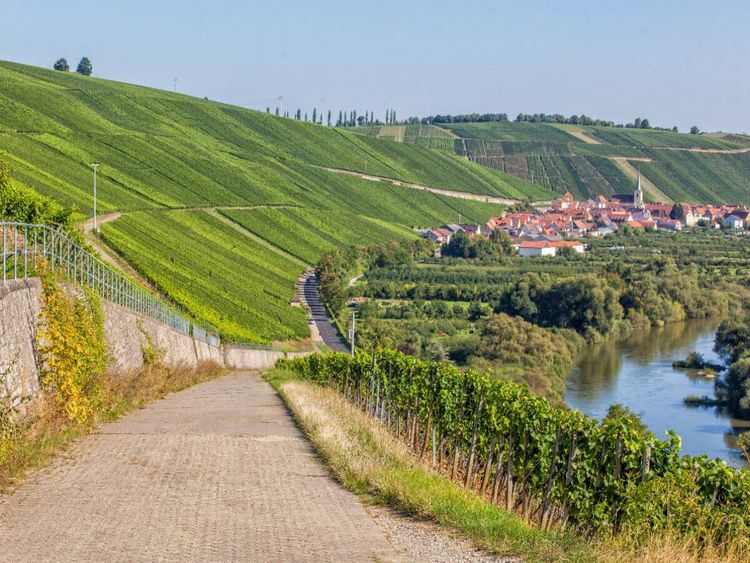 Produktbild: CALVENDO Puzzle Fr&auml;nkische Toskana mit Blick auf die ber&uuml;hmte Weinlage Escherndorfer Lump | 1000 Teile Lege-Gr&ouml;&szlig;e 64 &times; 48 cm Foto-Puzzle f&uuml;r gl&uuml;ckliche Stunden