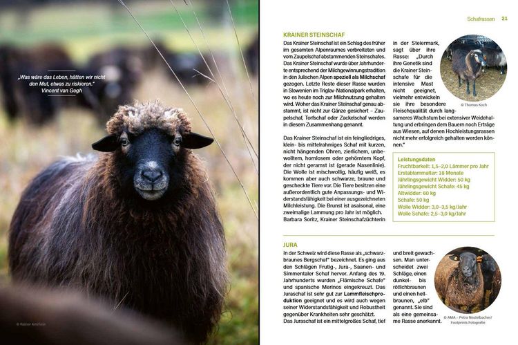 Produktbild: Alles vom Schaf!