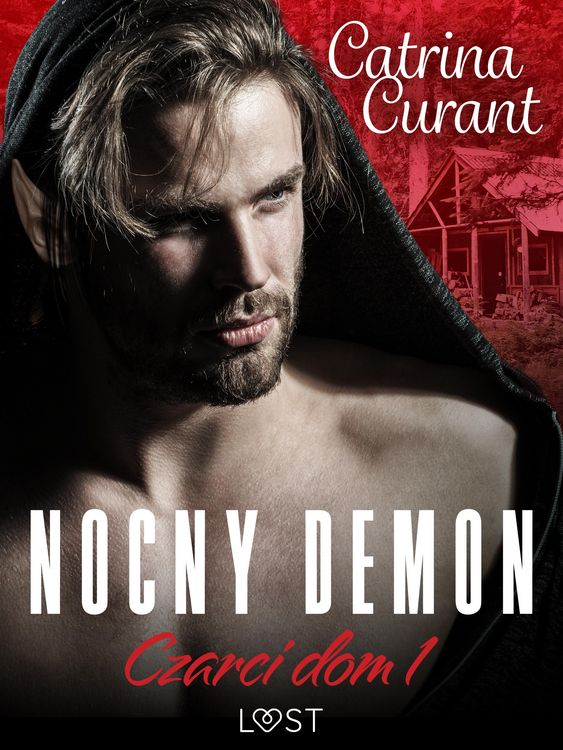 Produktbild: Czarci dom 1: Nocny demon - seria erotyczna