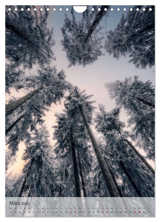 Produktbild: Winter Spaziergang (Wandkalender 2026 DIN A4 hoch), CALVENDO Monatskalender