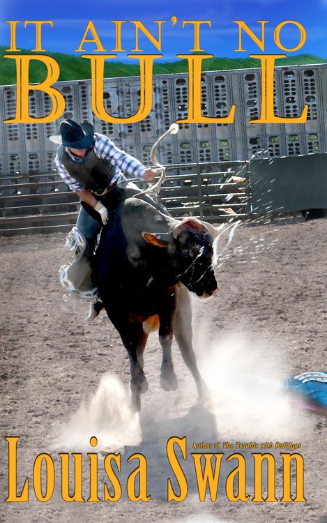 Produktbild: It Ain't No Bull