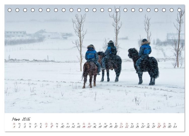 Produktbild: Islandpferde take it Isi (Tischkalender 2026 DIN A5 quer), CALVENDO Monatskalender