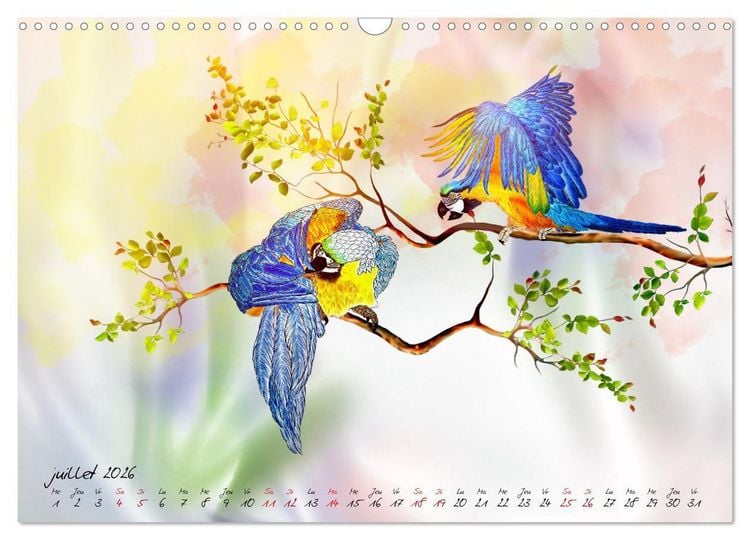 Produktbild: Dessins de perroquets (Calendrier mural 2026 DIN A3 vertical), CALVENDO calendrier mensuel