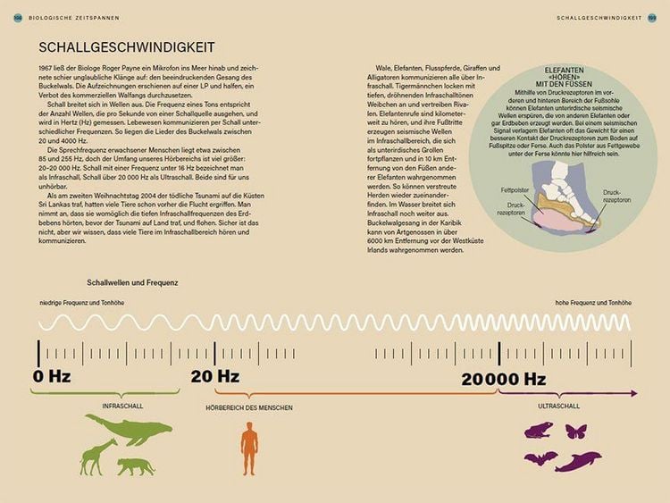 Produktbild: Im Takt der Natur