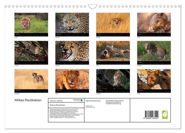 Produktbild: Afrikas Raubkatzen (Wandkalender 2027 DIN A3 quer), CALVENDO Monatskalender