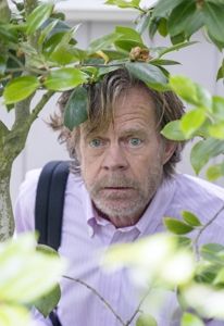 Produktbild: Shameless - Staffel 9