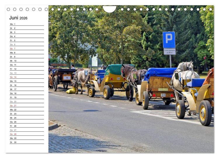 Produktbild: Treffpunkt Ostsee (Wandkalender 2026 DIN A4 quer), CALVENDO Monatskalender
