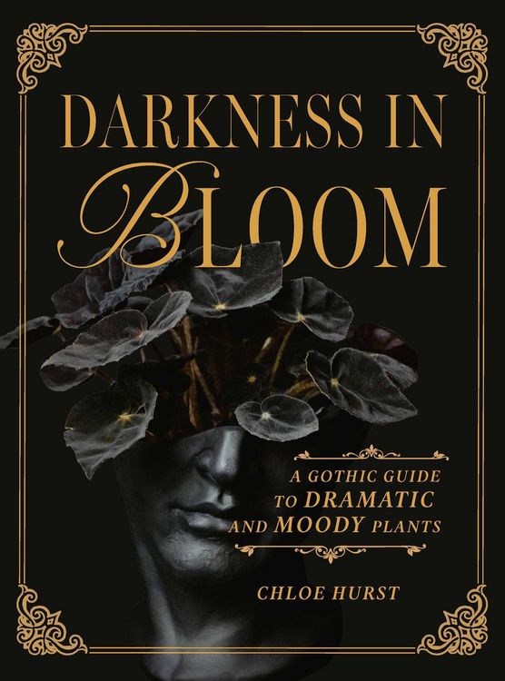 Produktbild: Darkness in Bloom