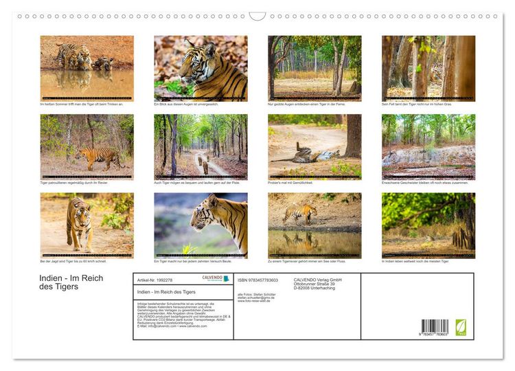 Produktbild: Indien - Im Reich des Tigers (Wandkalender 2026 DIN A2 quer), CALVENDO Monatskalender