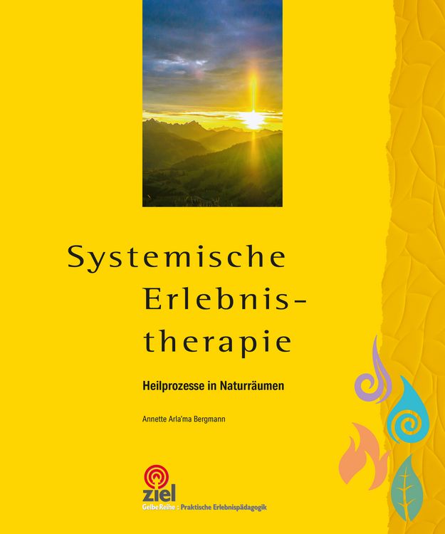 Produktbild: Systemische Erlebnistherapie