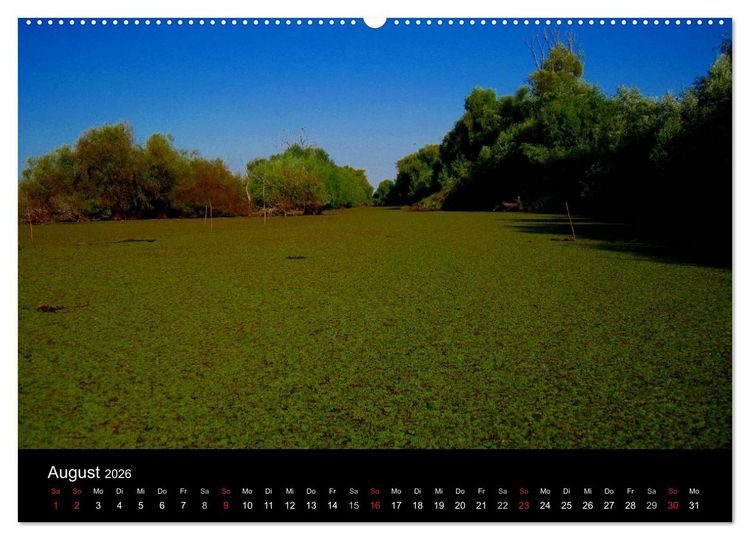 Produktbild: Donaudelta (Wandkalender 2026 DIN A2 quer), CALVENDO Monatskalender