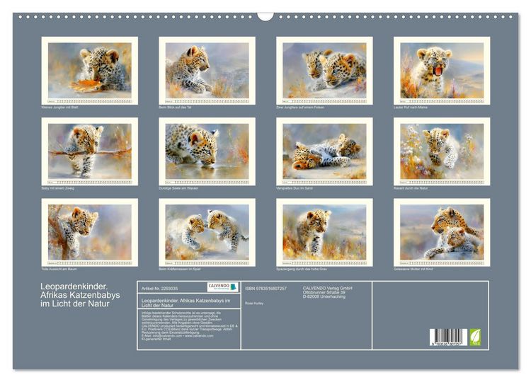 Produktbild: Leopardenkinder. Afrikas Katzenbabys im Licht der Natur (Wandkalender 2027 DIN A2 quer), CALVENDO Monatskalender