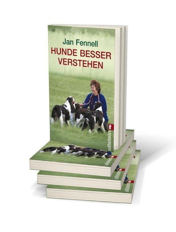 Produktbild: Hunde besser verstehen