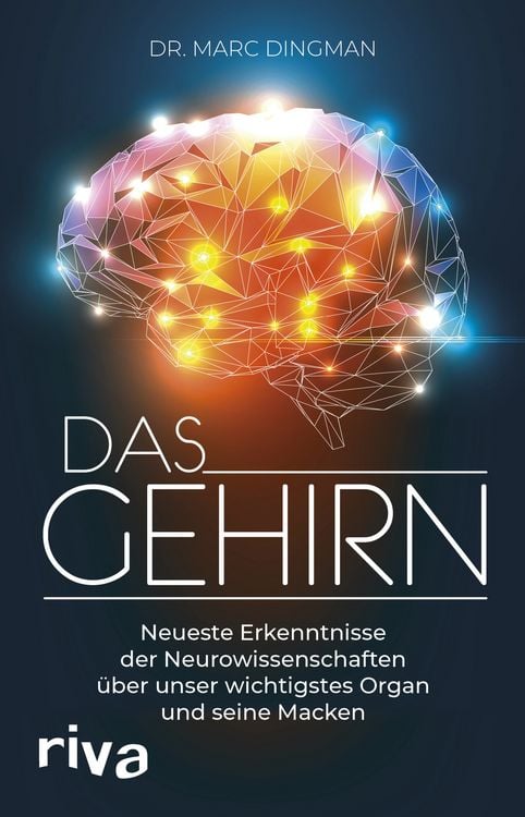 Produktbild: Das Gehirn