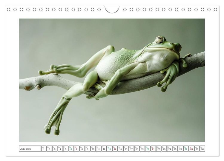 Produktbild: Lustige Amphibienbande (Wandkalender 2026 DIN A4 quer), CALVENDO Monatskalender