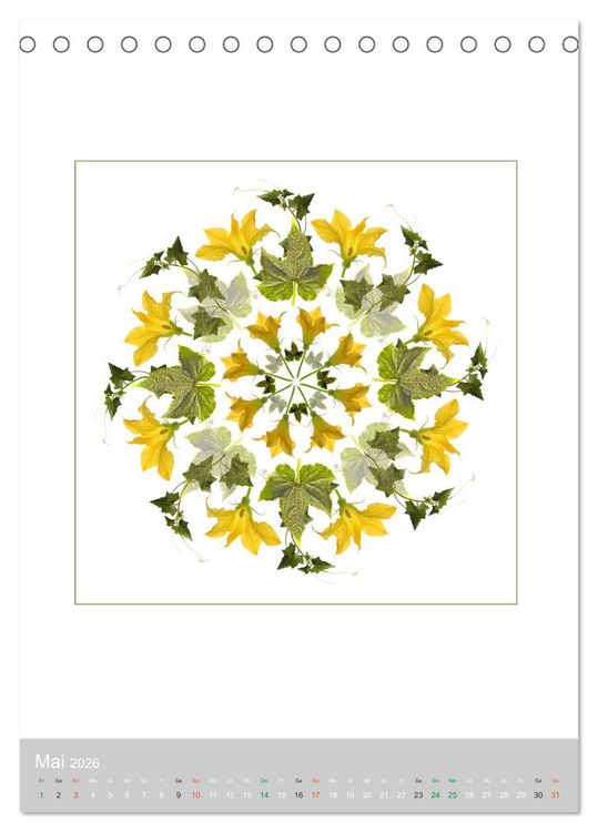 Produktbild: Pflanzen - Mandalas aus Bl&uuml;ten und Bl&auml;ttern (Tischkalender 2026 DIN A5 hoch), CALVENDO Monatskalender