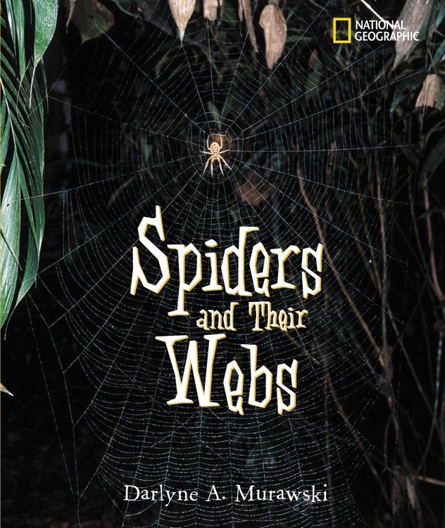 Produktbild: Spiders and Their Webs