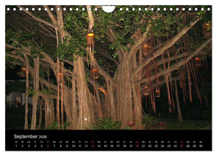 Produktbild: Trauminsel Mauritius (Wandkalender 2026 DIN A4 quer), CALVENDO Monatskalender