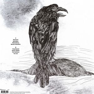 Produktbild: Ravnsvart