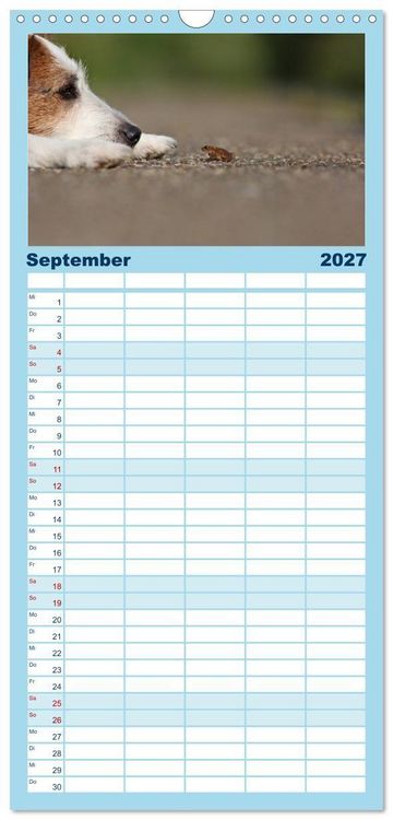 Produktbild: Familienplaner 2027 - Parson Russell Terrier mit 5 Spalten (Wandkalender, 21 x 45 cm) CALVENDO
