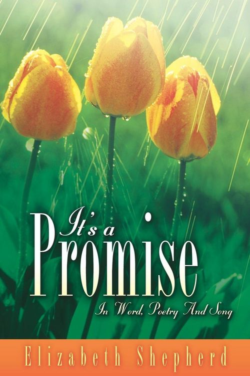 Produktbild: It's A Promise