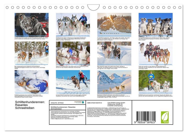 Produktbild: Schlittenhunderennen: Rasantes Schneetreiben (Wandkalender 2026 DIN A4 quer), CALVENDO Monatskalender